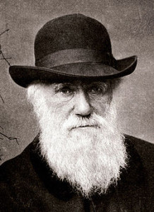 darwin